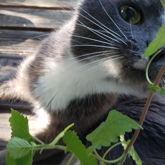 My Bebes! - Picture 13 of 15